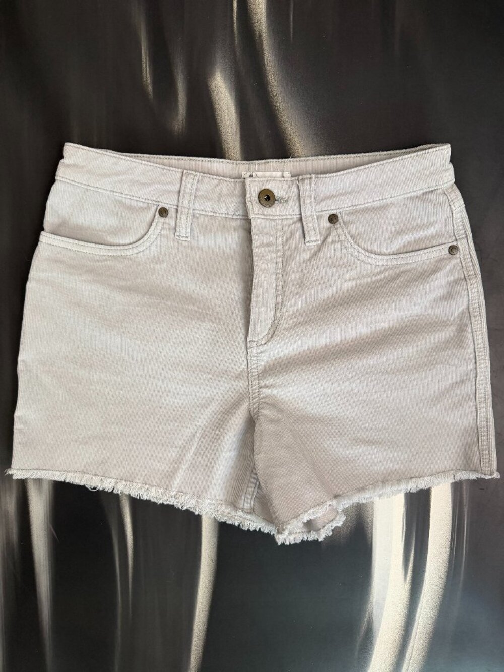 Carve designs Oahu high rise short 4"